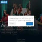 gambitgroup.fi gambitgroup.fi