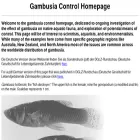 gambusia.net