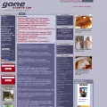 gameinfowire.com