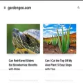 gardengeo.com