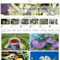 gardenmanage.com gardenmanage.com
