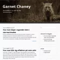 garnetchaney.com garnetchaney.com