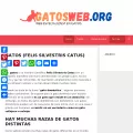 gatosweb.org