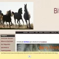 gebisslos-reiten.de gebisslos-reiten.de