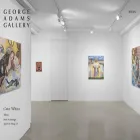 georgeadamsgallery.com georgeadamsgallery.com