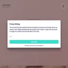 geske.com