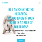 getchestnut.com getchestnut.com