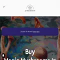 getmagicmushrooms.co