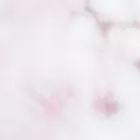 getmetamorphx.org