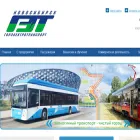 get-nsk.ru