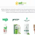 getwellmore.com getwellmore.com