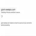 giant-sweeps.com giant-sweeps.com
