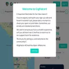 gigfalcon.com gigfalcon.com