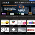 giniko.com