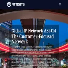 gin.ntt.net gin.ntt.net
