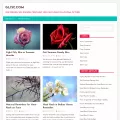 glisc.com