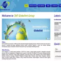 globelink-group.com