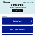 gofigger.org gofigger.org