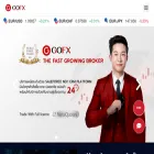 gofx.pro gofx.pro
