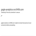 gogle-analytics-srv2456.com