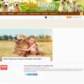 goldenretrieverforum.com goldenretrieverforum.com