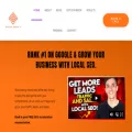 goldielocalseo.com goldielocalseo.com