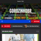 gorozinhobr.com.br gorozinhobr.com.br