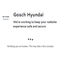 goschhyundai.com