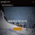 graeagle.com