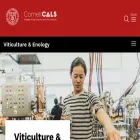 grapesandwine.cals.cornell.edu grapesandwine.cals.cornell.edu