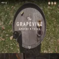 grapevineingruene.com grapevineingruene.com