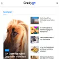 grastyup.com grastyup.com