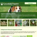 greenfieldpuppies.com