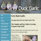 greyduckgarlic.com greyduckgarlic.com
