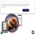 groomer.io groomer.io