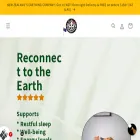 groundedkiwi.nz groundedkiwi.nz