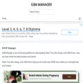 gsmmanager.com