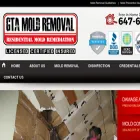 gtamoldremoval.com gtamoldremoval.com