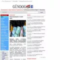 gundogar.org