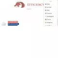 gw2efficiency.com