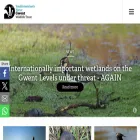 gwentwildlife.org gwentwildlife.org