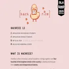 hack.rice.edu