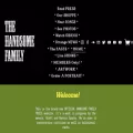 handsomefamily.com