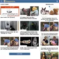 happycatsonline.com happycatsonline.com