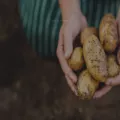 hardies.com hardies.com
