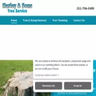 harleyandsonstreeservice.com harleyandsonstreeservice.com