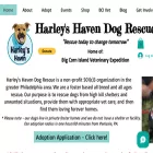 harleyshavendogrescue.com