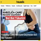 havadis.com