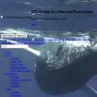 hawaiihumpbackwhale.noaa.gov hawaiihumpbackwhale.noaa.gov
