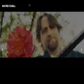 hayescarll.com